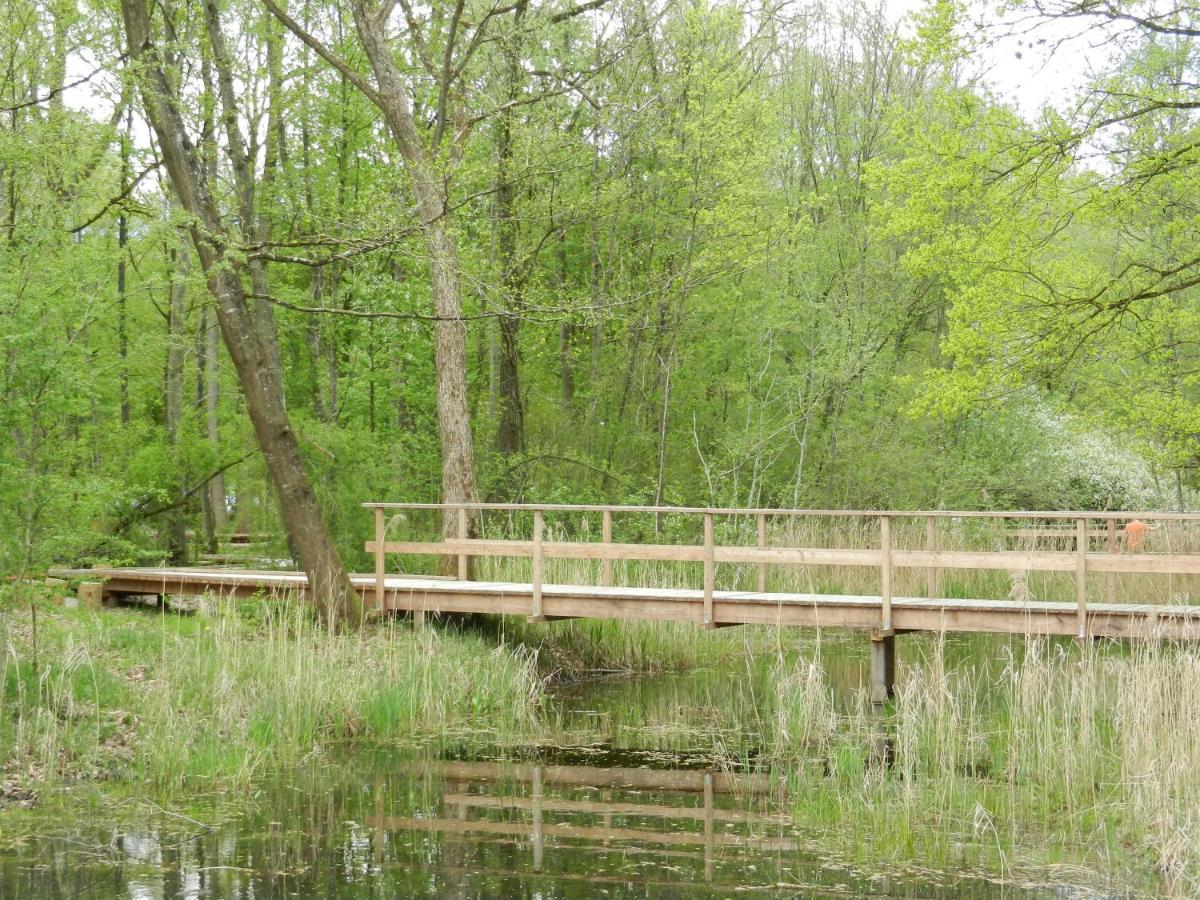 Flaach Studio Beim Rhein - Ziegelhuette מראה חיצוני תמונה